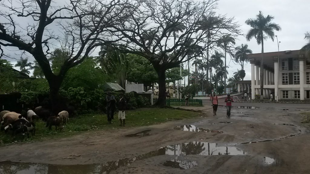 Goat herders and the town hall